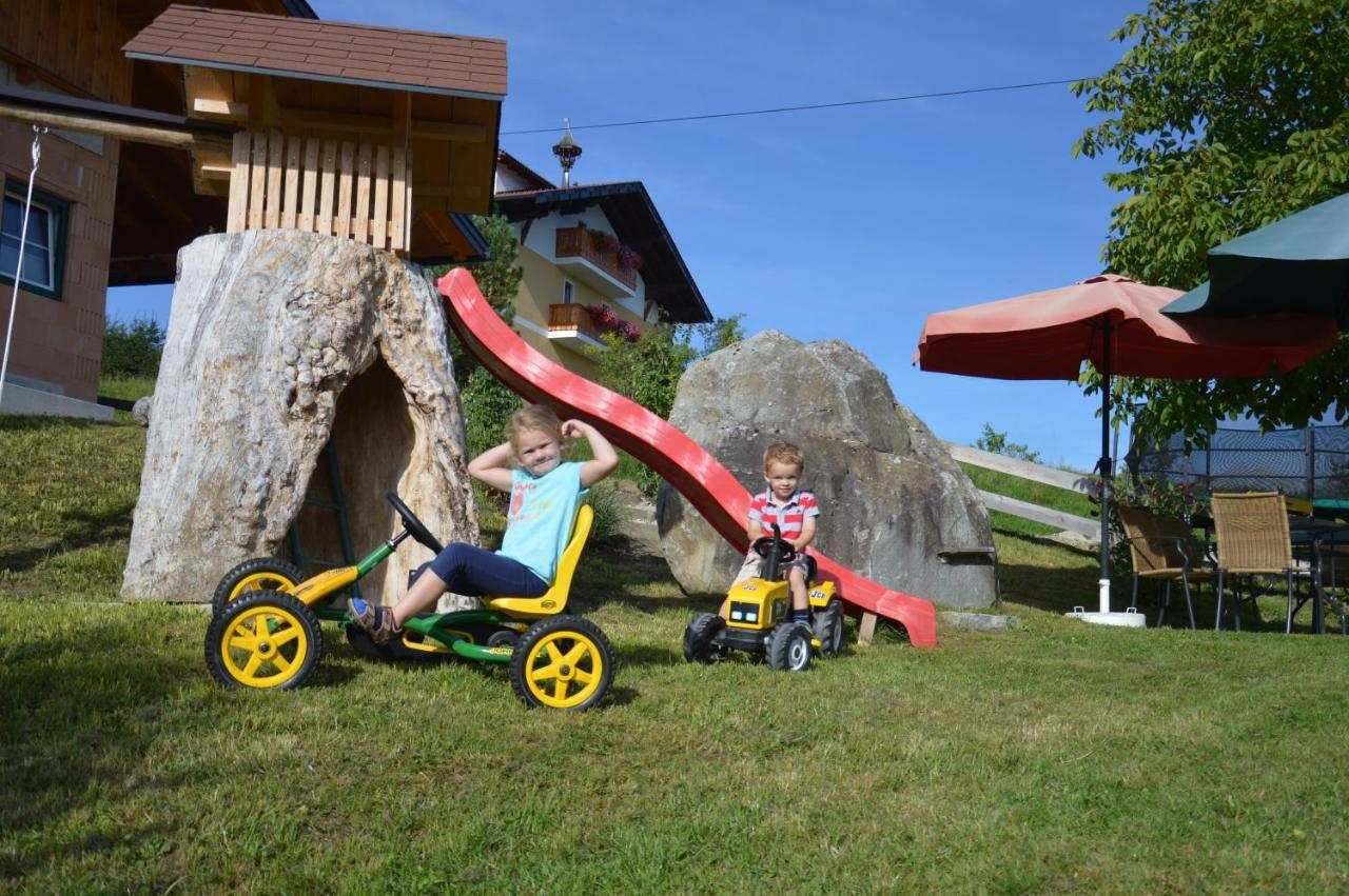 Aignerhof Villa Haus im Ennstal Luaran gambar
