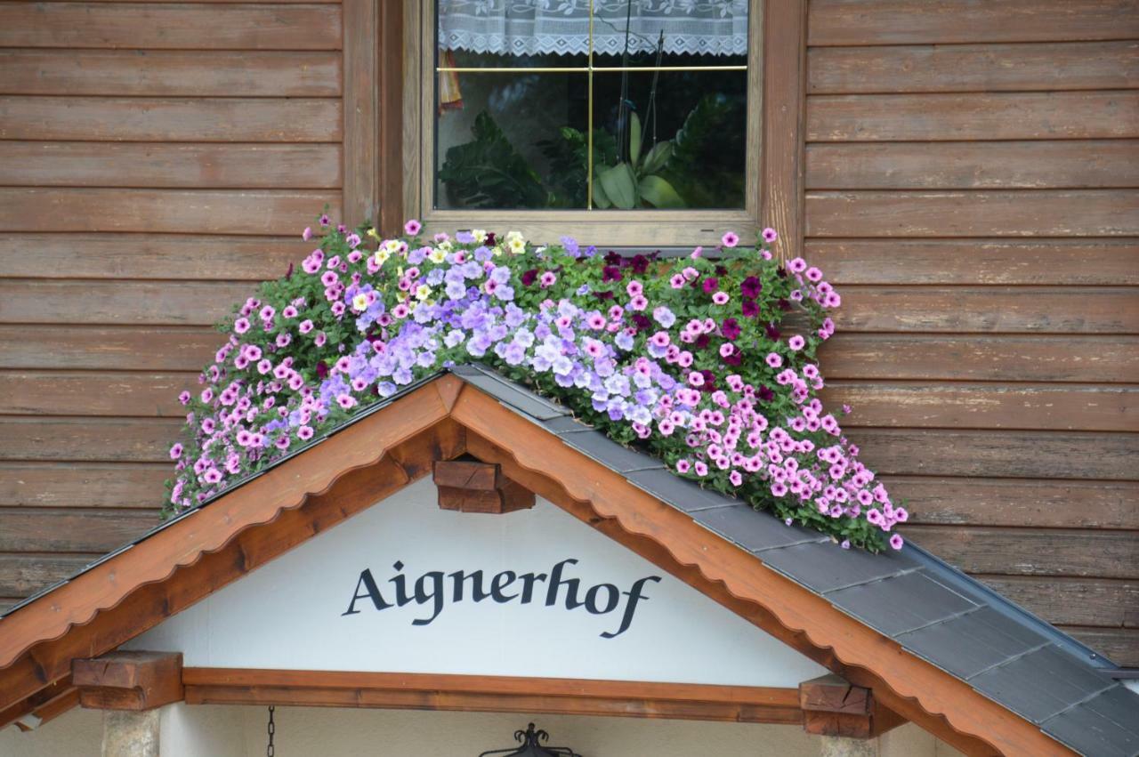 Aignerhof Villa Haus im Ennstal Luaran gambar